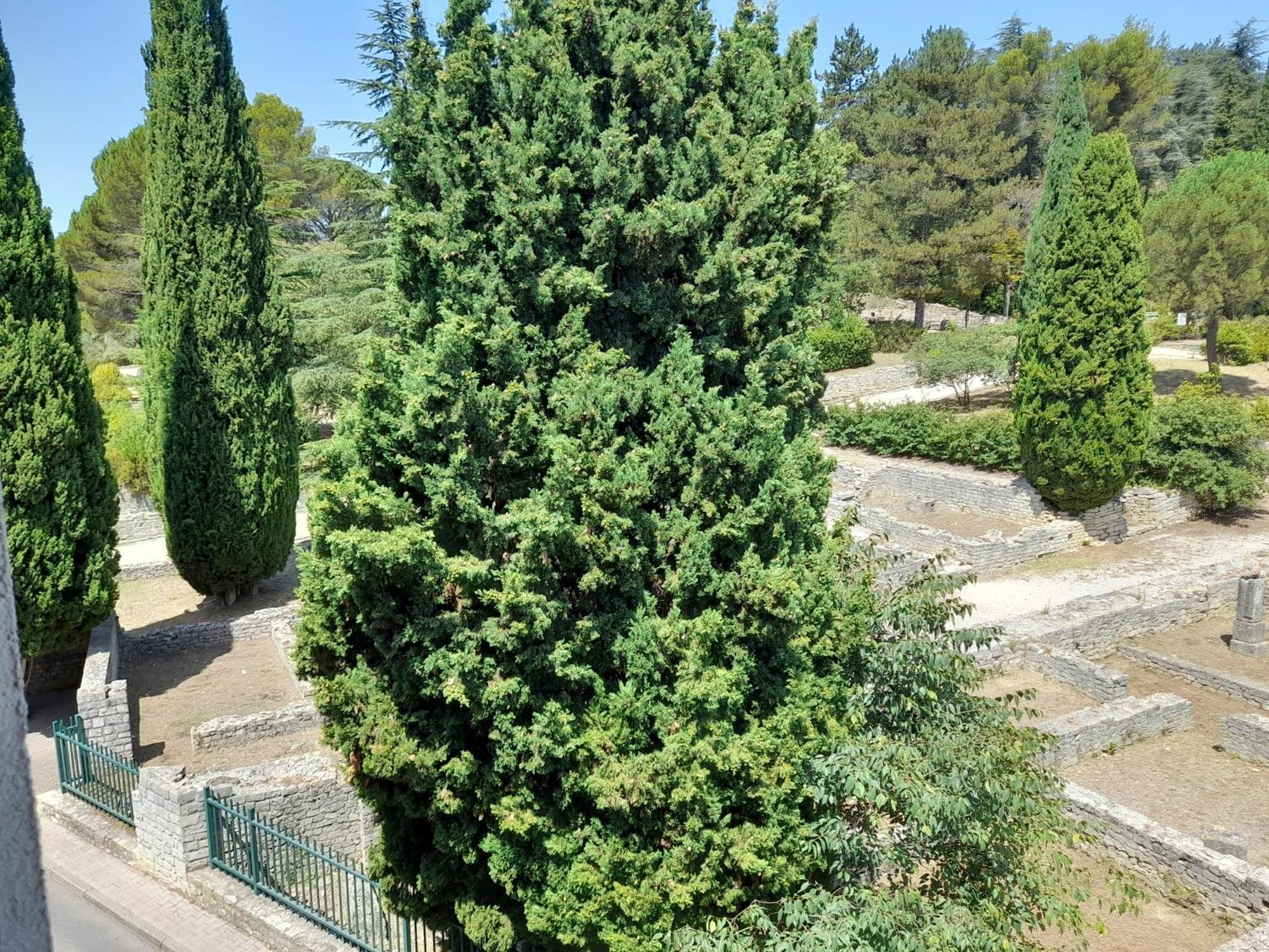 Grande Terrasse Et Vue Sur Le Site Antique Apartamento Vaison-la-Romaine Exterior foto